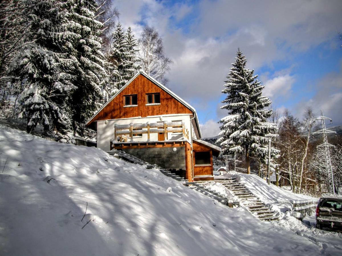 Chata U Vleku Kouty Nad Desnou Лоучна-над-Десноу Екстер'єр фото